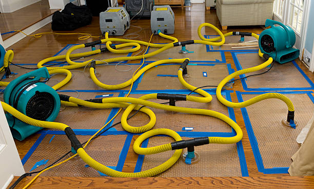Professional Structural Drying And Dehumidification technician working in Danville, IN